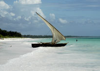 Authentic Zanzibar